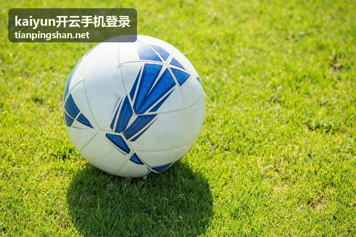 kaiyun开云手机登录 账号安全设置自查示意图