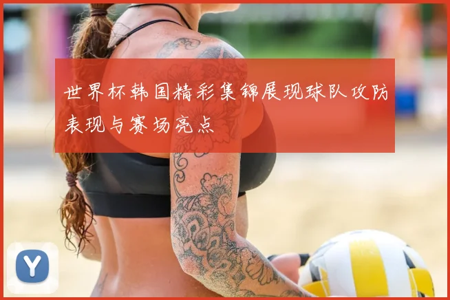 世界杯韩国精彩集锦展现球队攻防表现与赛场亮点