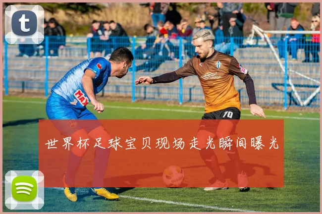 世界杯足球宝贝现场走光瞬间曝光