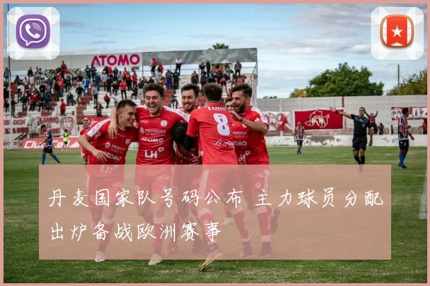 丹麦国家队号码公布 主力球员分配出炉备战欧洲赛事