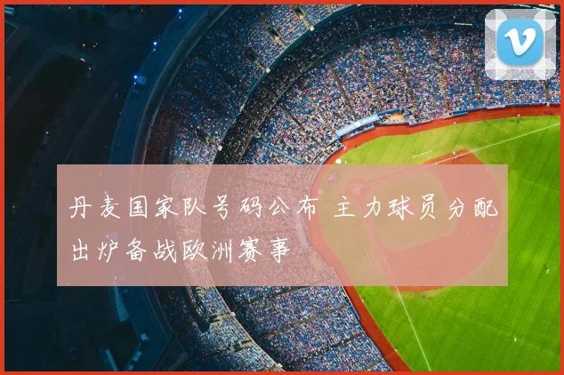 丹麦国家队号码公布 主力球员分配出炉备战欧洲赛事