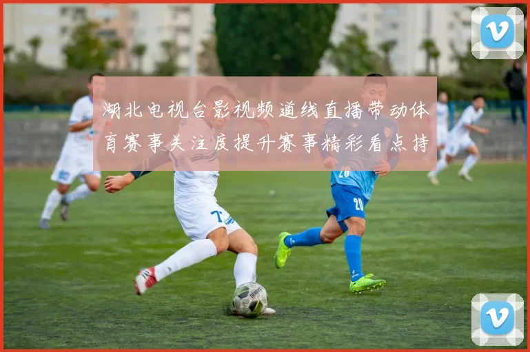 湖北电视台影视频道线直播带动体育赛事关注度提升赛事精彩看点持续释放