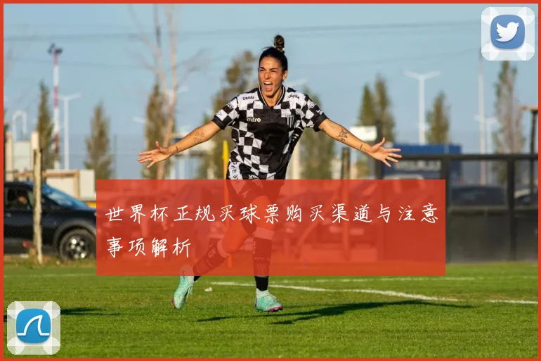 世界杯正规买球票购买渠道与注意事项解析